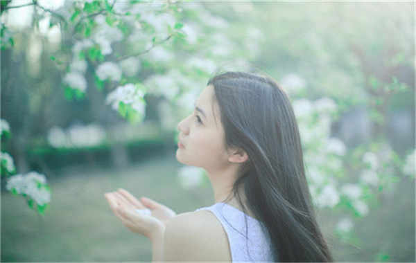 赵西垸林场验血查男女几周可以验(验血查男女结果图)